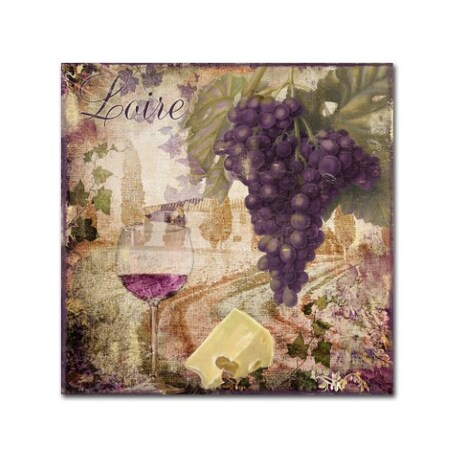 Trademark Fine Art Color Bakery 'Wine Country II' Canvas Art, 35x35 ALI4616-C3535GG